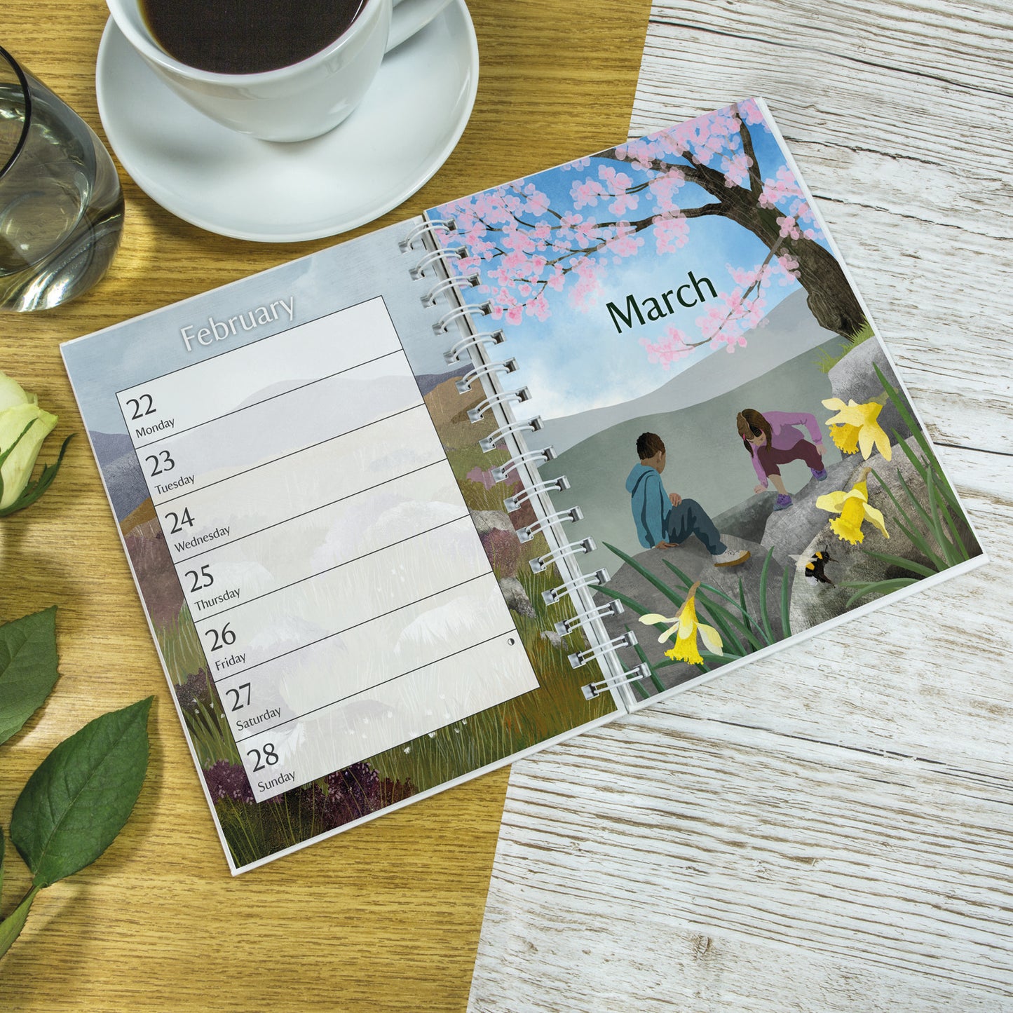 National Trust Illustrated Deluxe Diary 2027