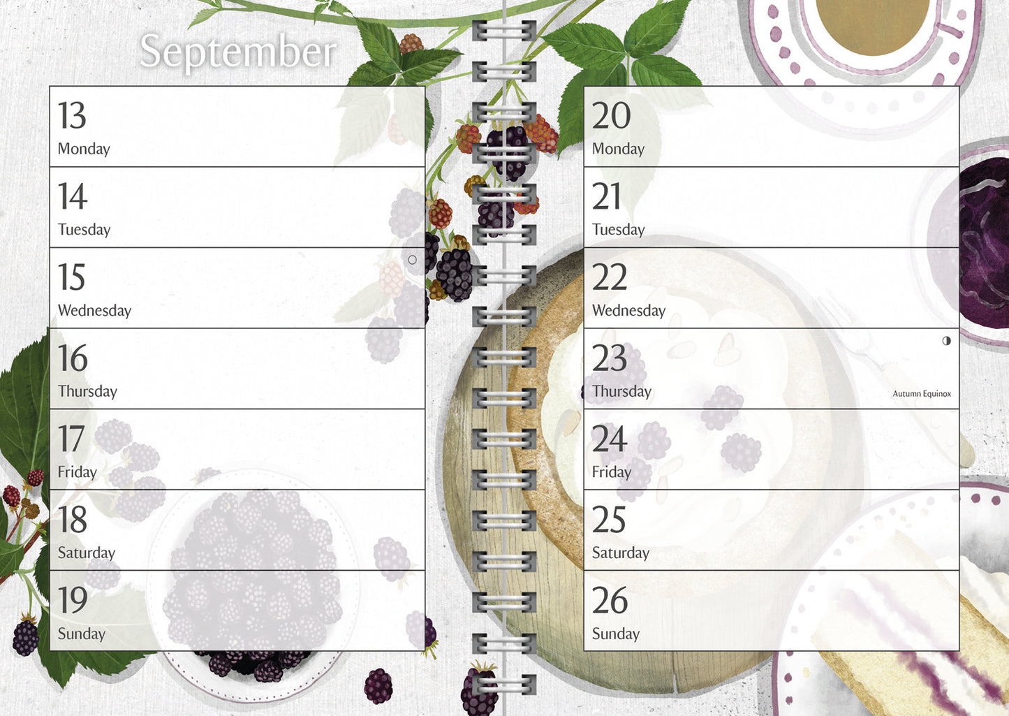 National Trust Illustrated Deluxe Diary 2027