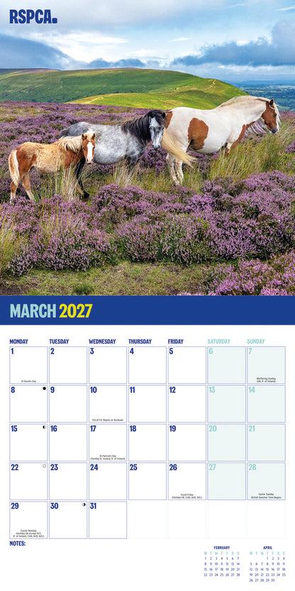 British Horses & Ponies RSPCA Wall Calendar 2027