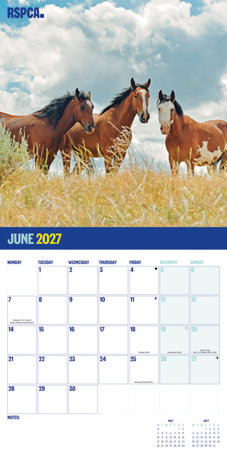 British Horses & Ponies RSPCA Wall Calendar 2027