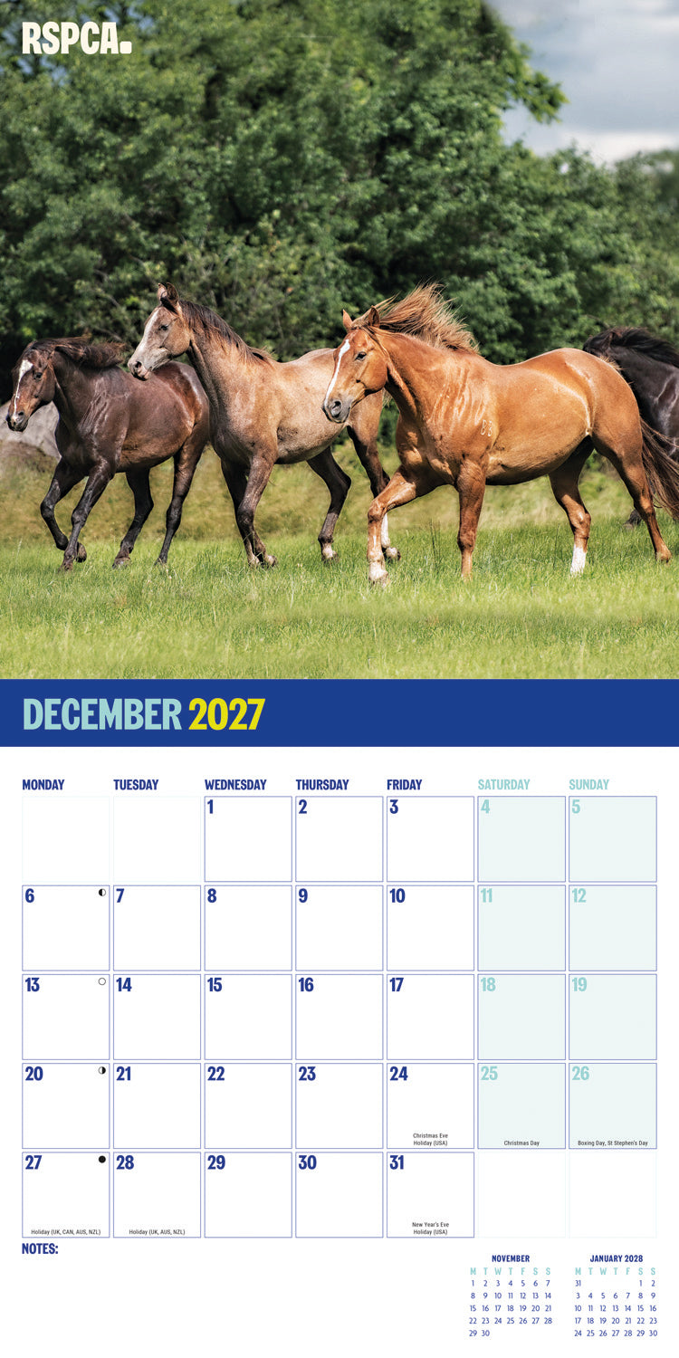 British Horses & Ponies RSPCA Wall Calendar 2027