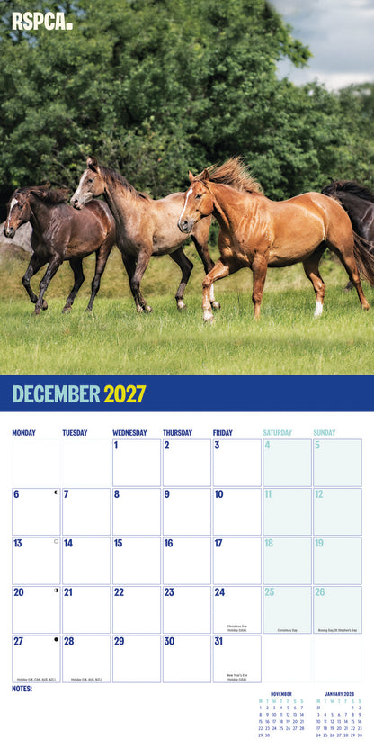 British Horses & Ponies RSPCA Wall Calendar 2027