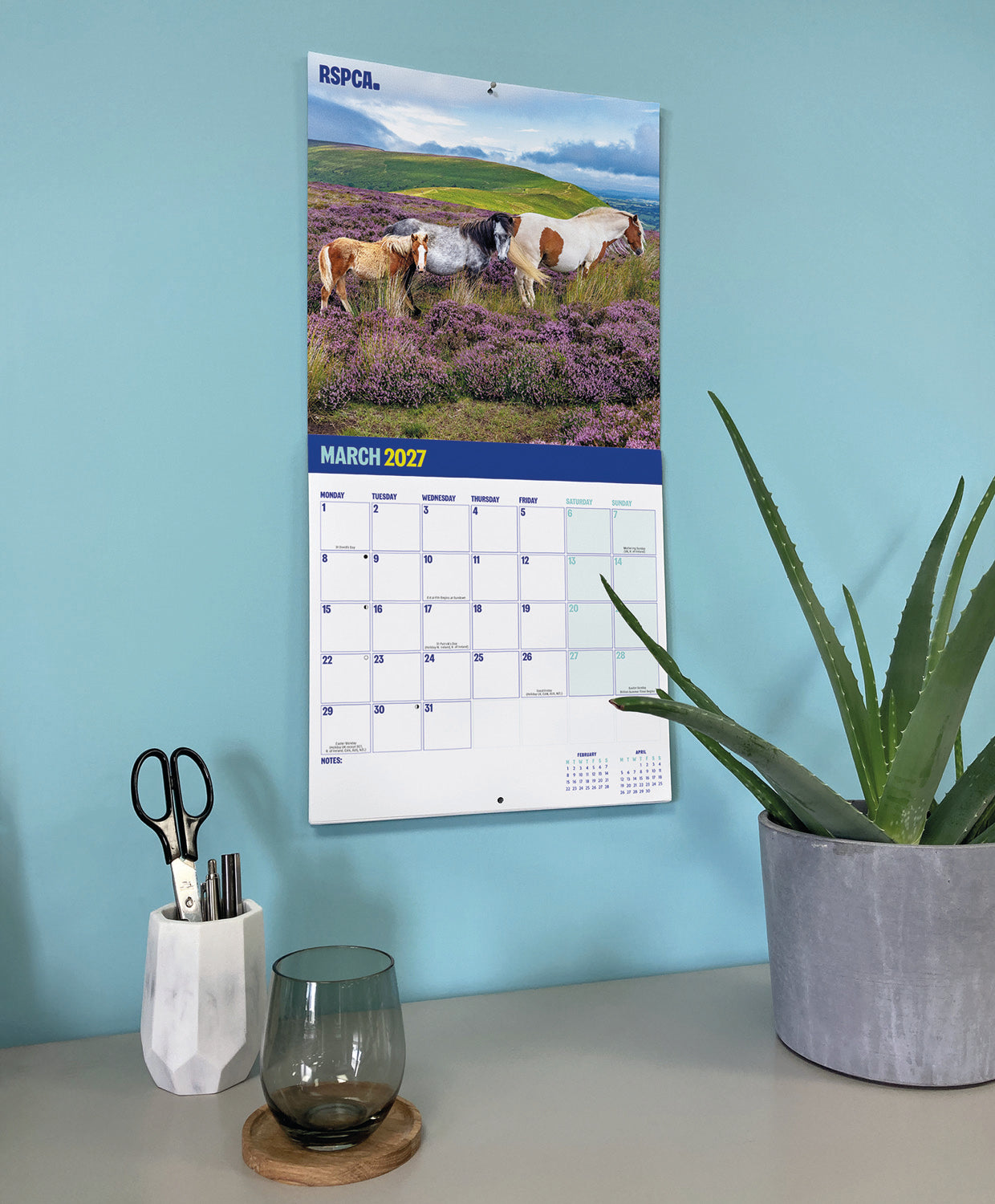 British Horses & Ponies RSPCA Wall Calendar 2027