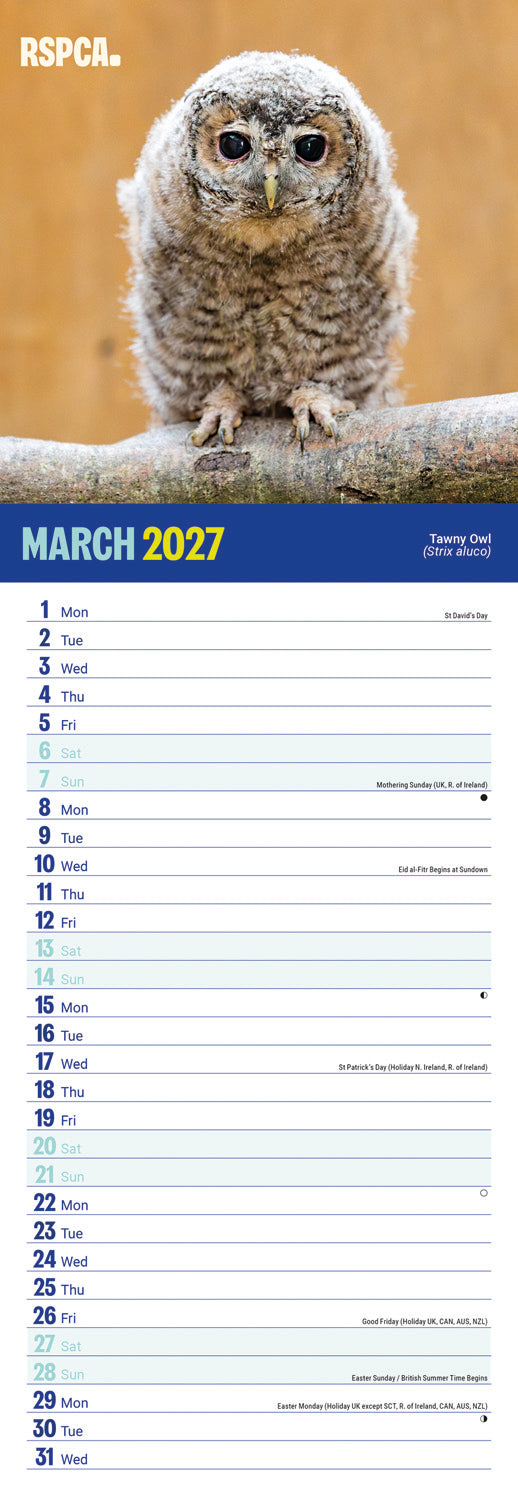 British Wildlife RSPCA Slim Calendar 2027