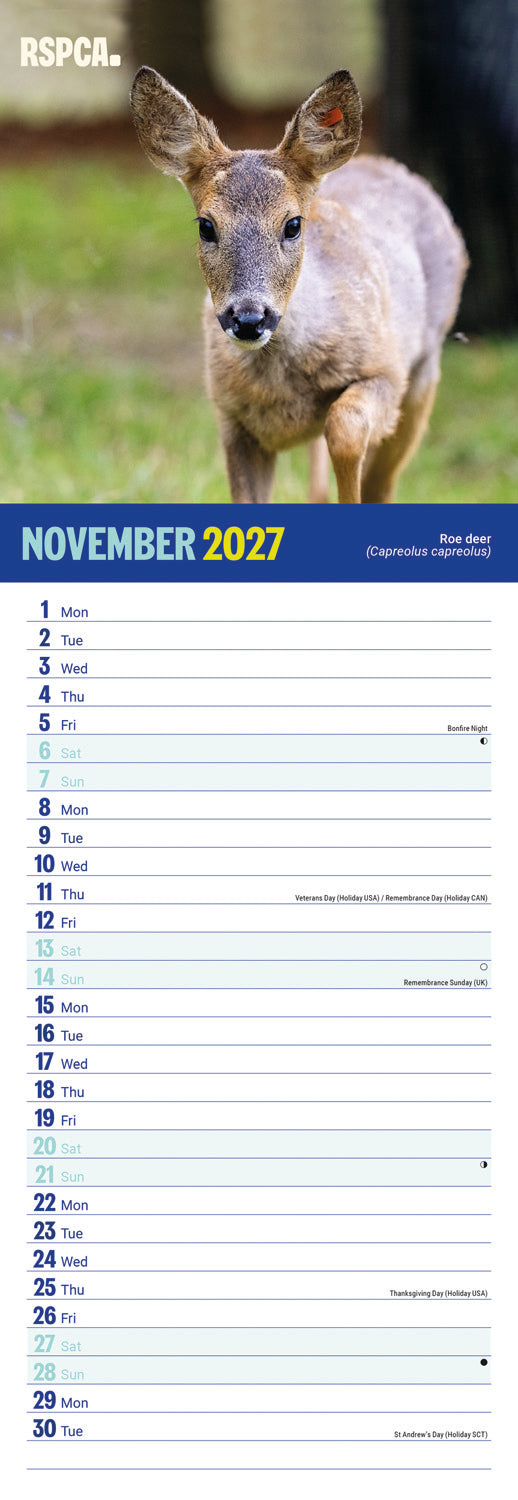 British Wildlife RSPCA Slim Calendar 2027