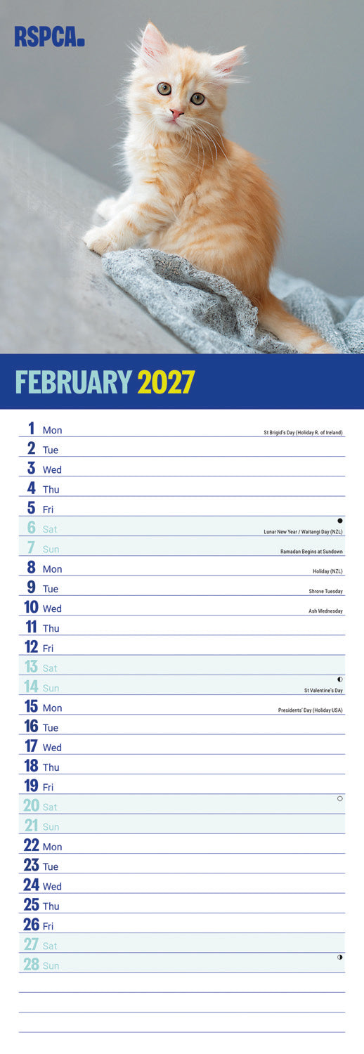 Kittens, I Love RSPCA Slim Calendar 2027