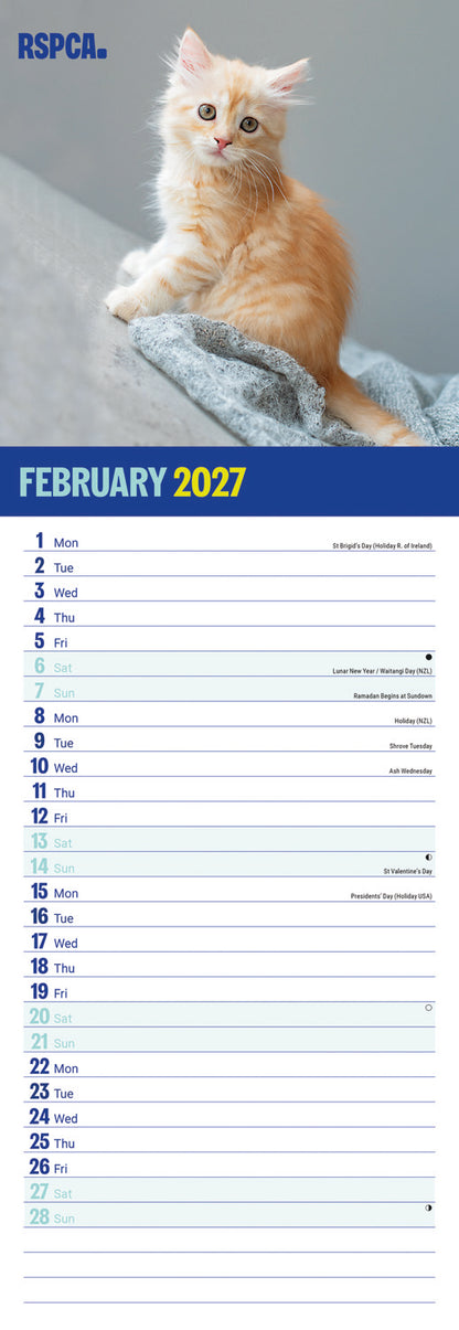 Kittens, I Love RSPCA Slim Calendar 2027