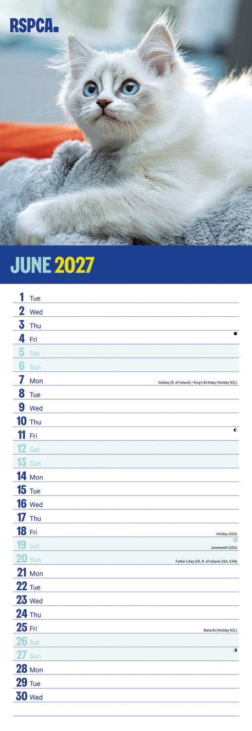 Kittens, I Love RSPCA Slim Calendar 2027