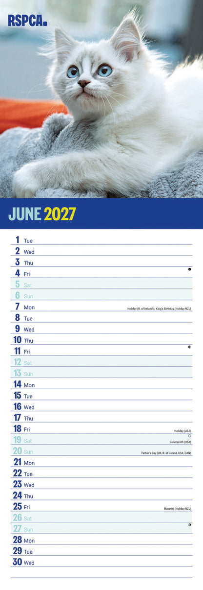 Kittens, I Love RSPCA Slim Calendar 2027