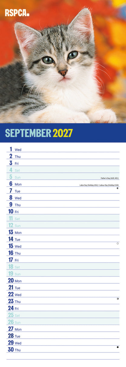 Kittens, I Love RSPCA Slim Calendar 2027