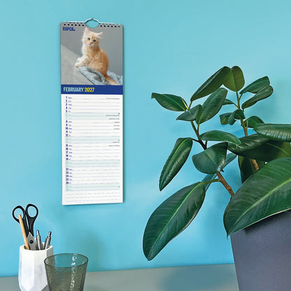Kittens, I Love RSPCA Slim Calendar 2027