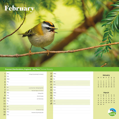 RSPB Inspiring Nature Wiro Wall Calendar 2027