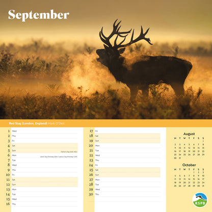 RSPB Inspiring Nature Wiro Wall Calendar 2027