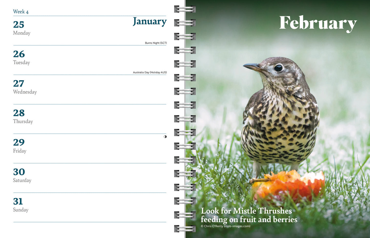RSPB Deluxe Diary 2027