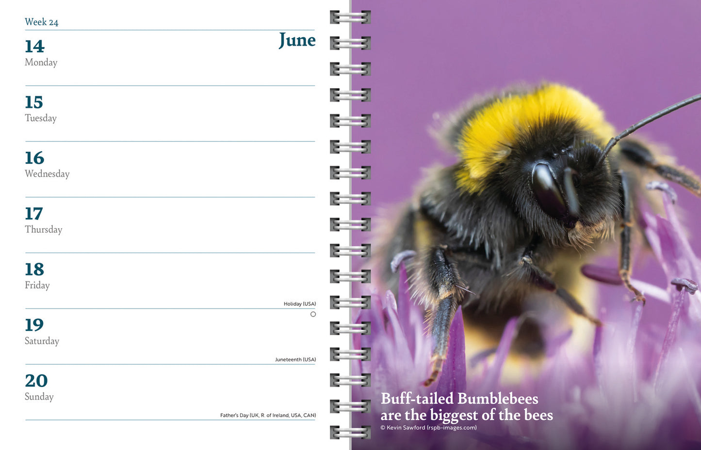 RSPB Deluxe Diary 2027