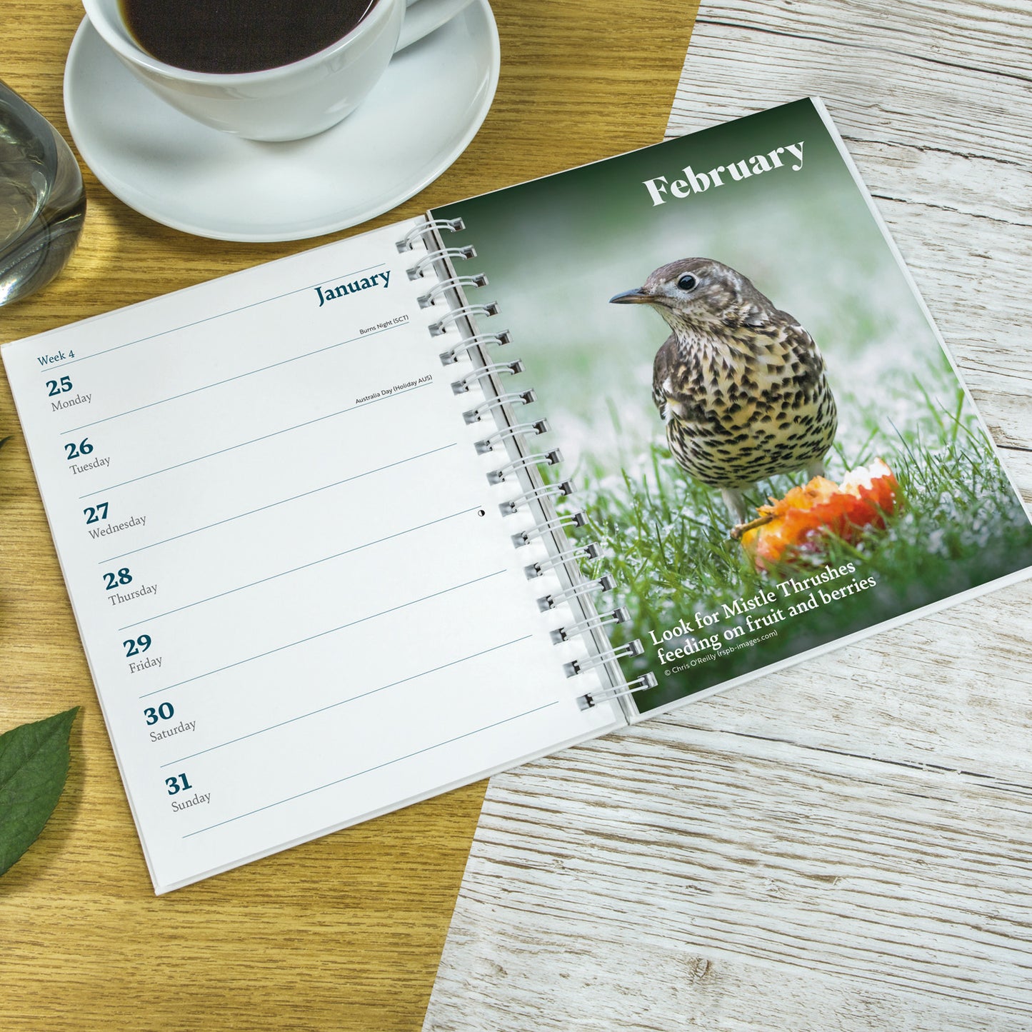 RSPB Deluxe Diary 2027