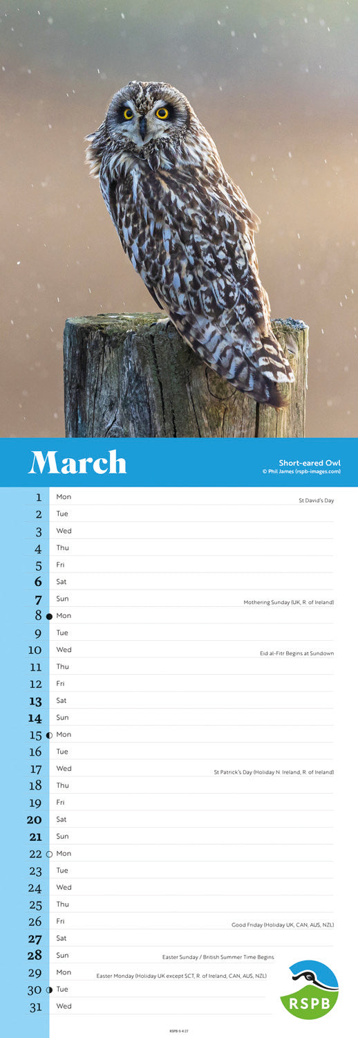 Owls RSPB Slim Calendar 2027