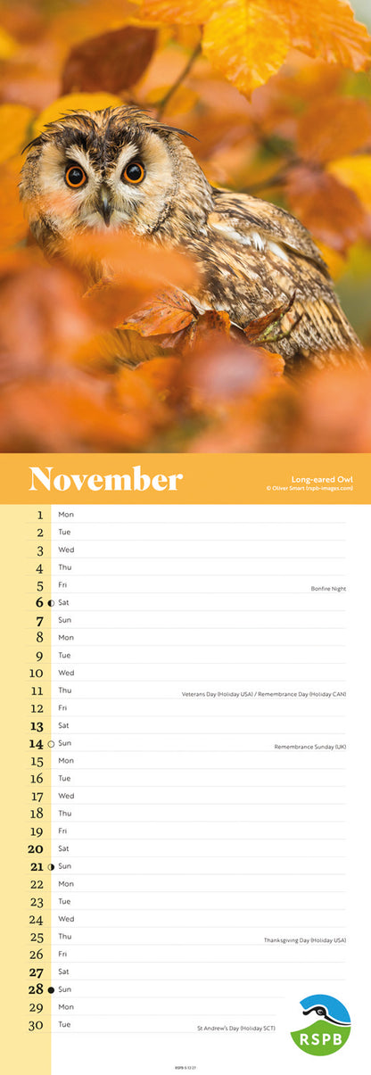 Owls RSPB Slim Calendar 2027