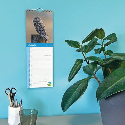 Owls RSPB Slim Calendar 2027