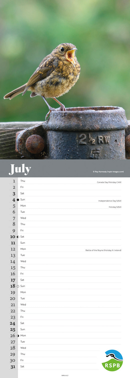 Robins RSPB Slim Calendar 2027