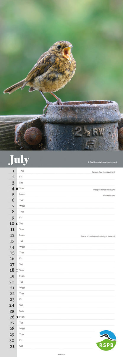 Robins RSPB Slim Calendar 2027