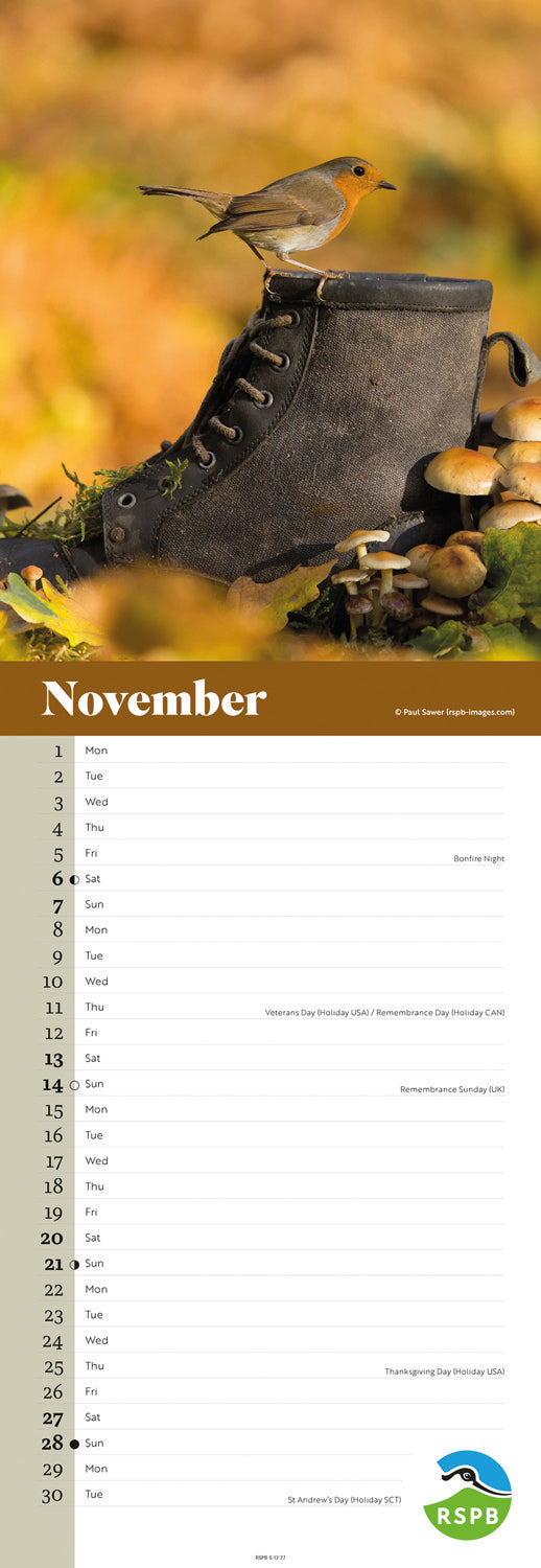 Robins RSPB Slim Calendar 2027