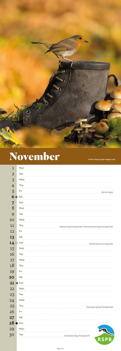 Robins RSPB Slim Calendar 2027