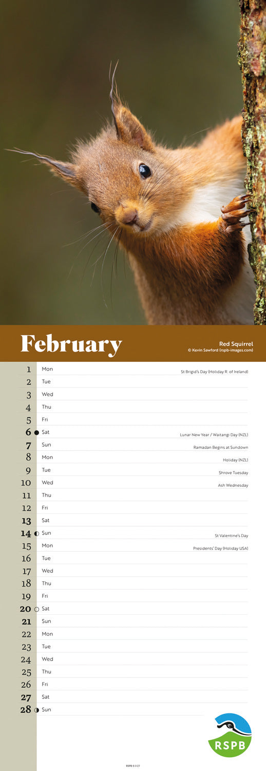 Wildlife RSPB Slim Calendar 2027