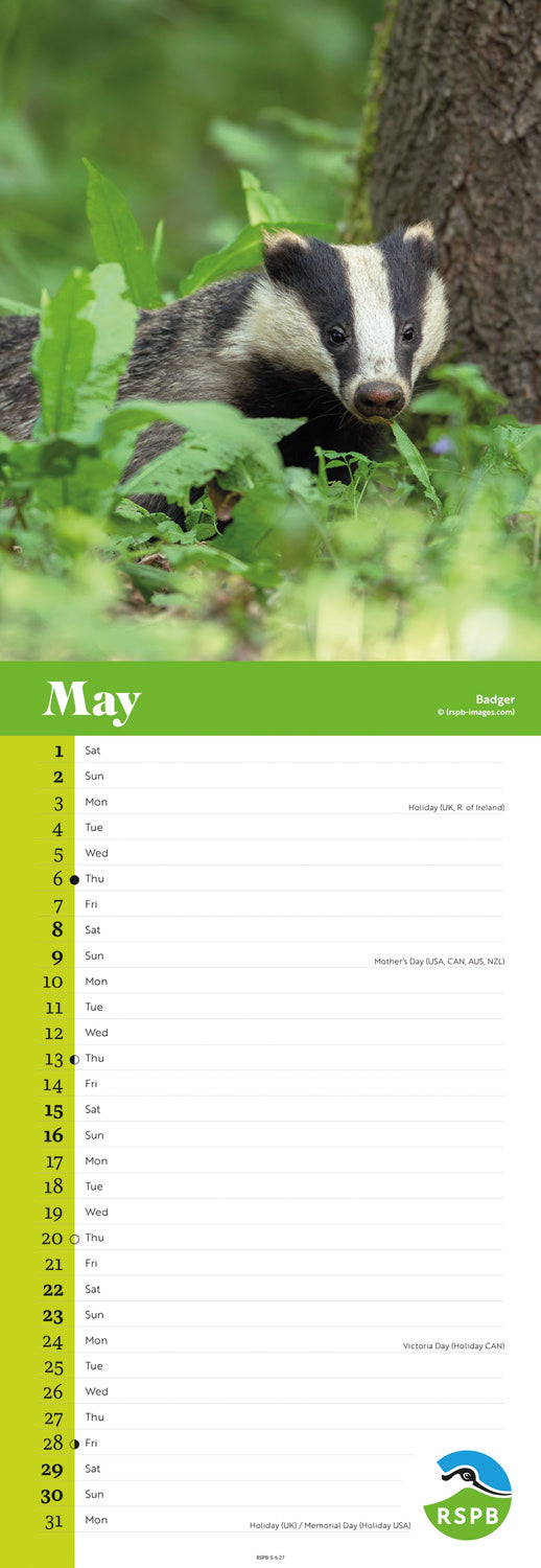 Wildlife RSPB Slim Calendar 2027