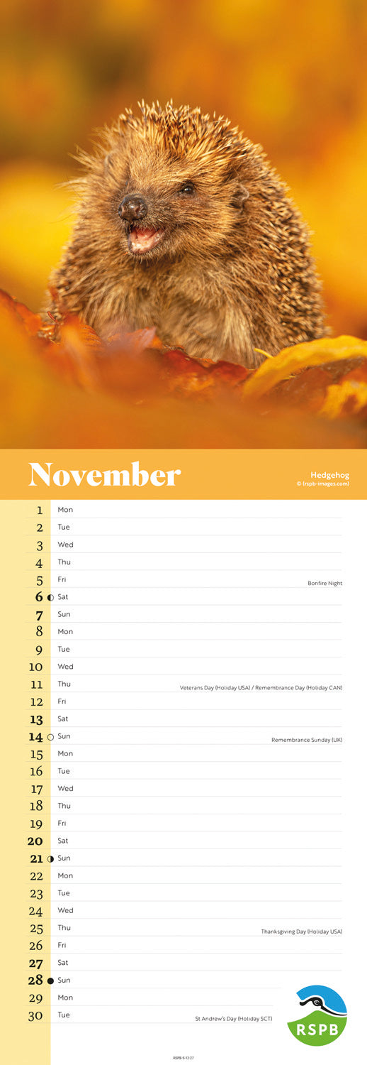 Wildlife RSPB Slim Calendar 2027