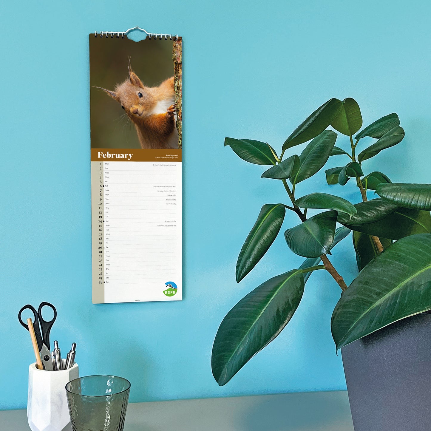 Wildlife RSPB Slim Calendar 2027