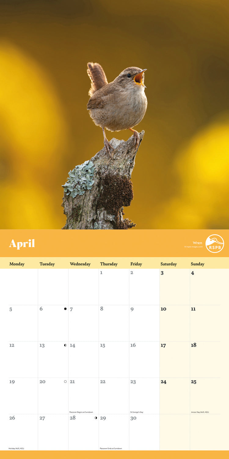Garden Birds RSPB Wall Calendar 2027