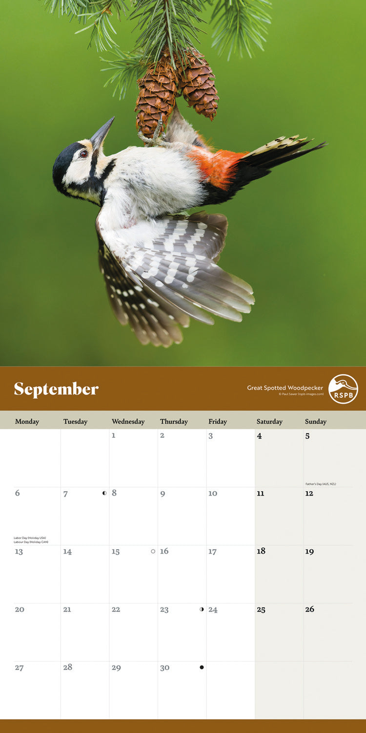 Garden Birds RSPB Wall Calendar 2027