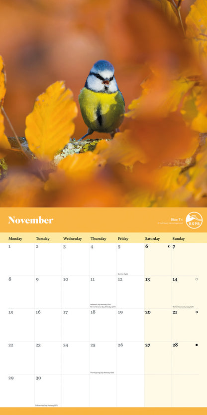 Garden Birds RSPB Wall Calendar 2027