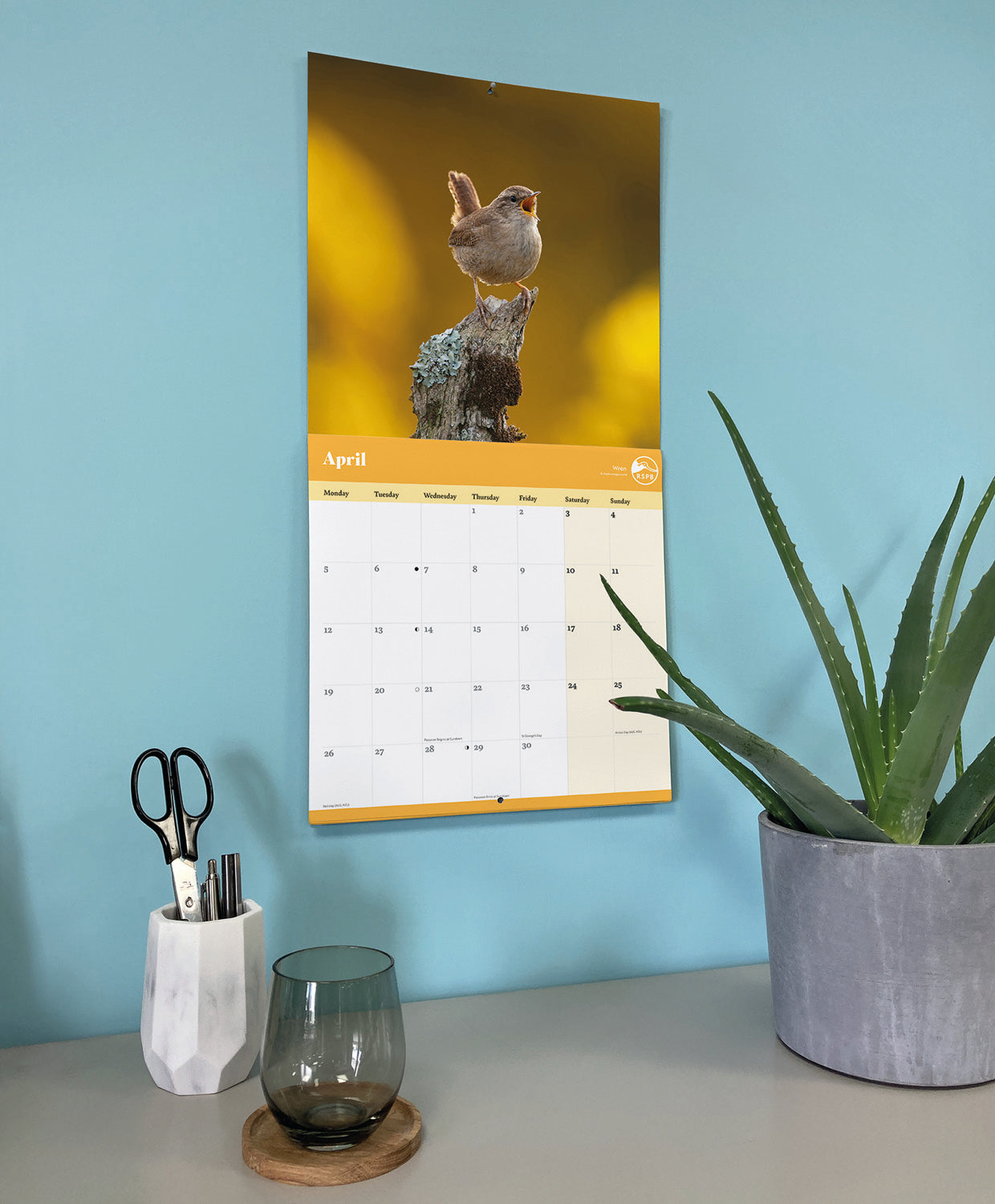 Garden Birds RSPB Wall Calendar 2027