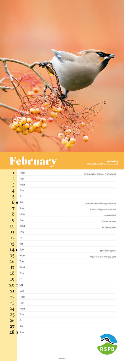 Birds RSPB Slim Calendar 2027