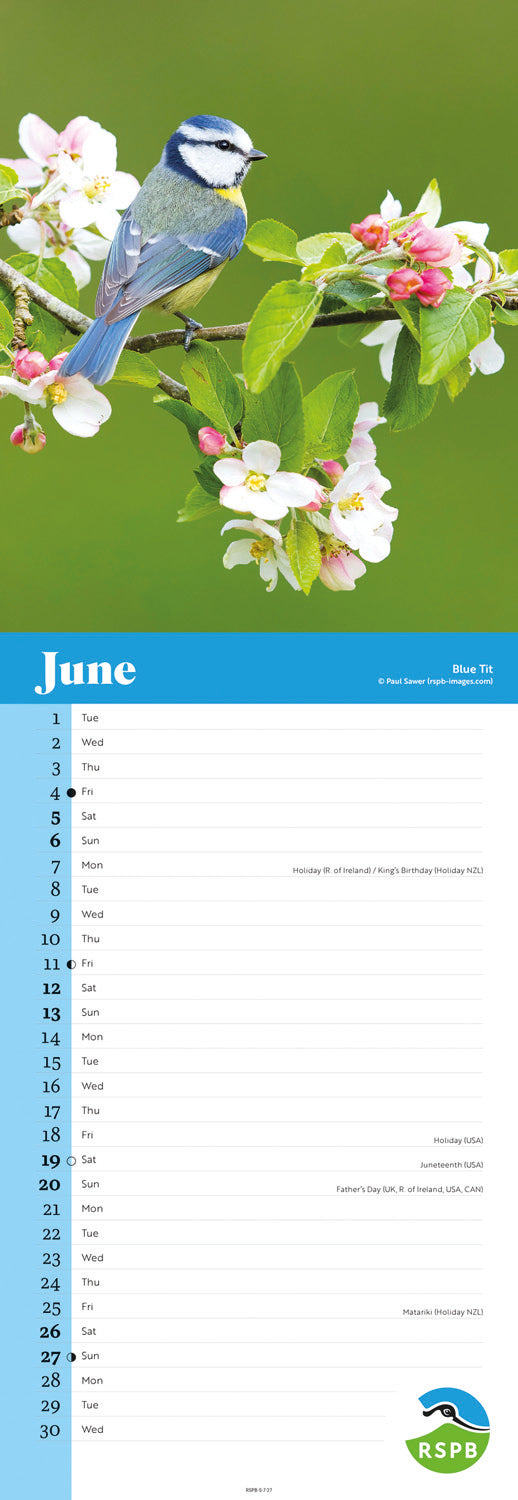 Birds RSPB Slim Calendar 2027