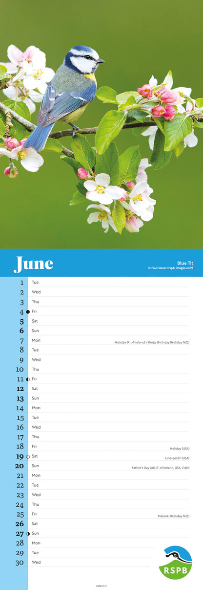 Birds RSPB Slim Calendar 2027