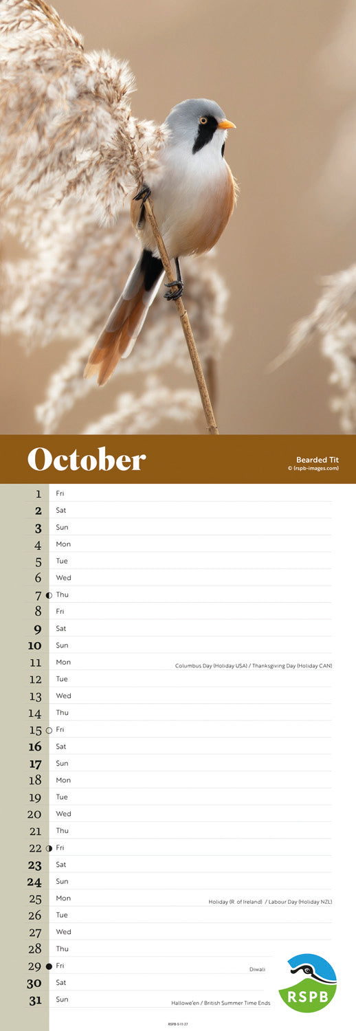 Birds RSPB Slim Calendar 2027