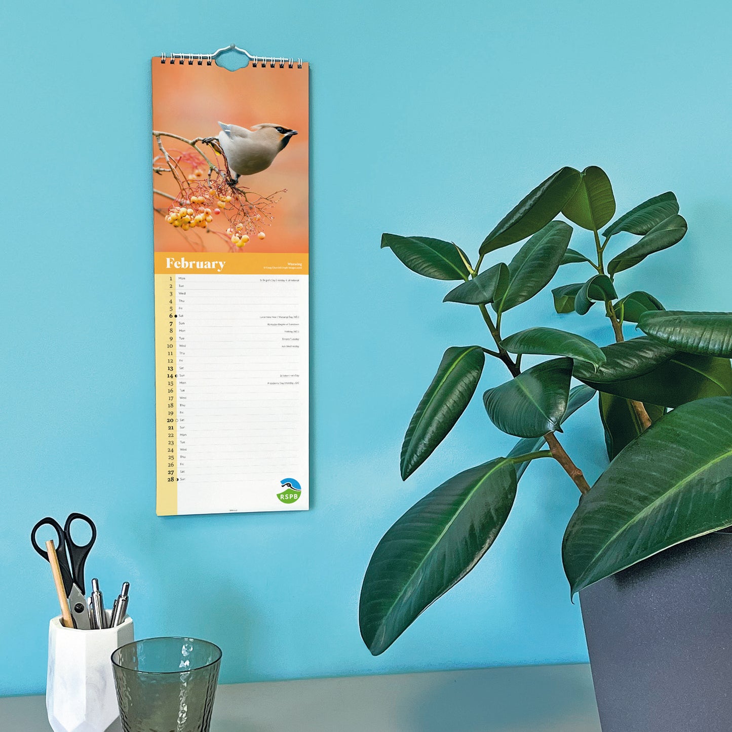 Birds RSPB Slim Calendar 2027