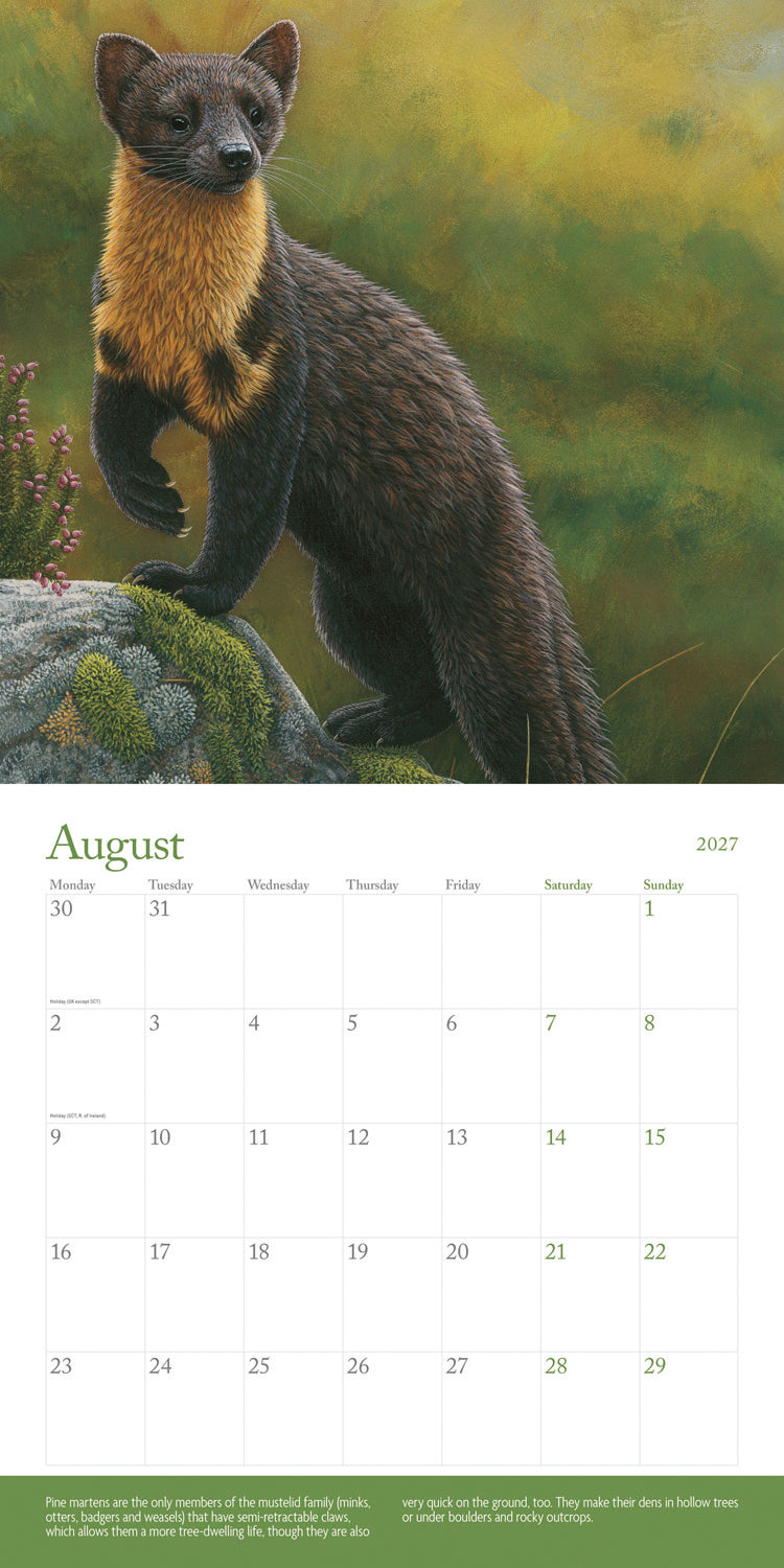 British Wildlife in Art by Robert Fuller Wall Calendar 2027