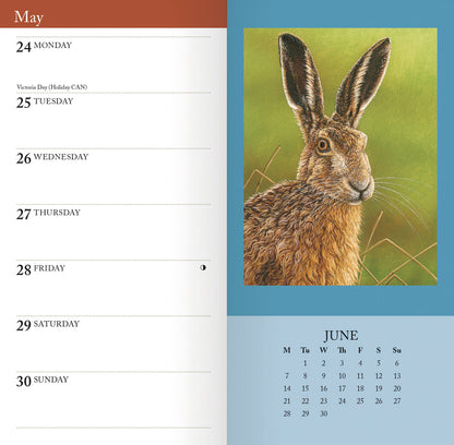 British Wildlife in Art by Robert Fuller Slim Diary 2027