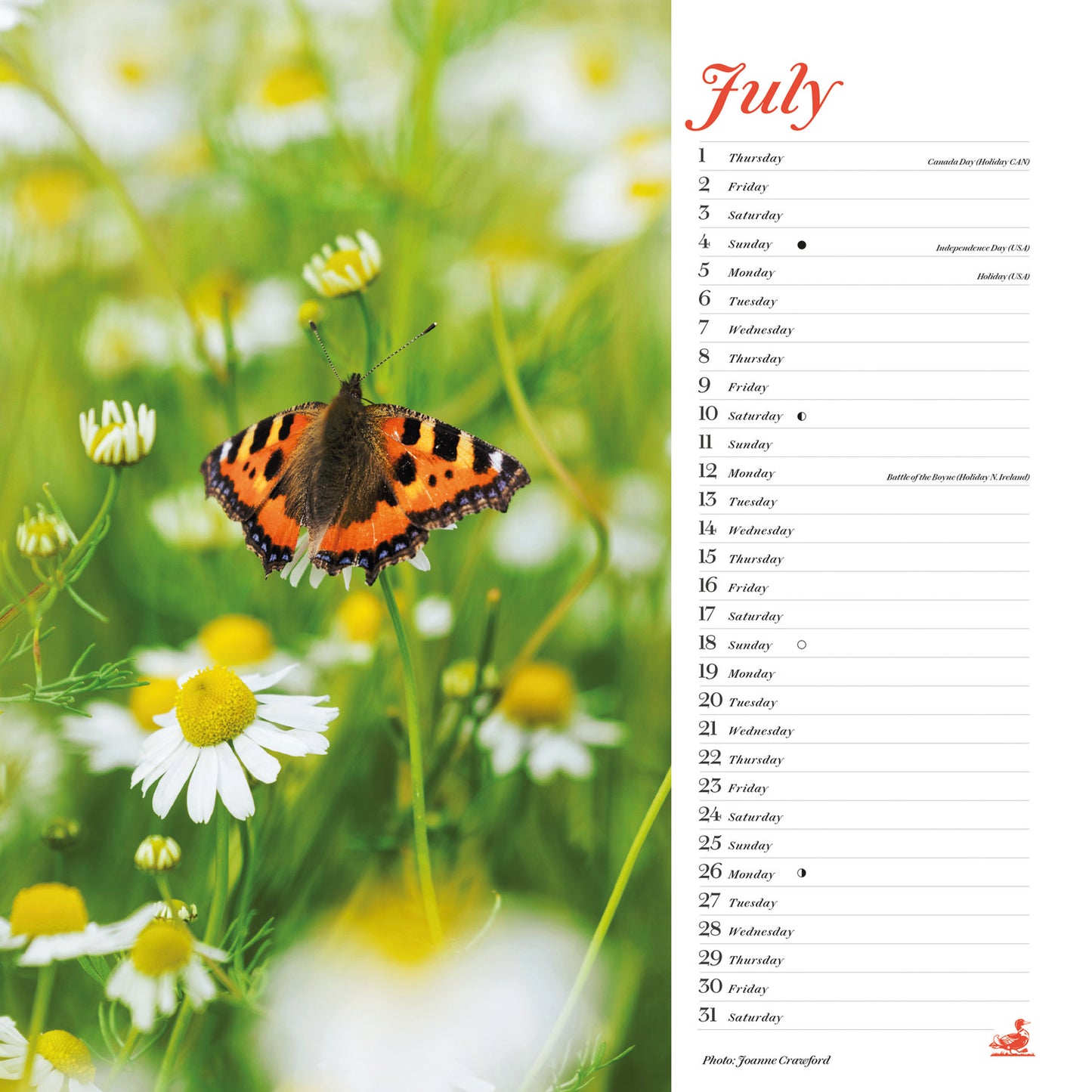 Country Living Wiro Wall Calendar 2027