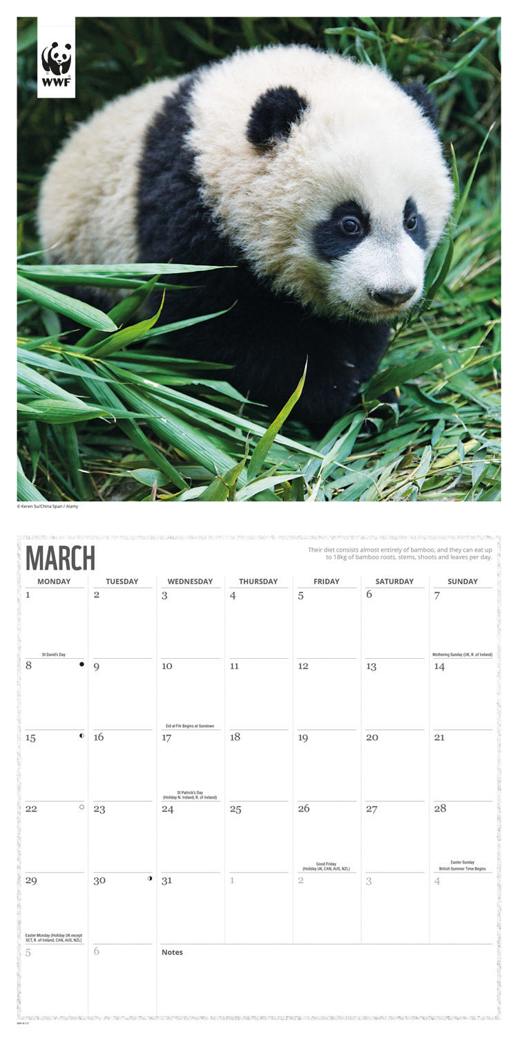Pandas WWF Wall Calendar 2027