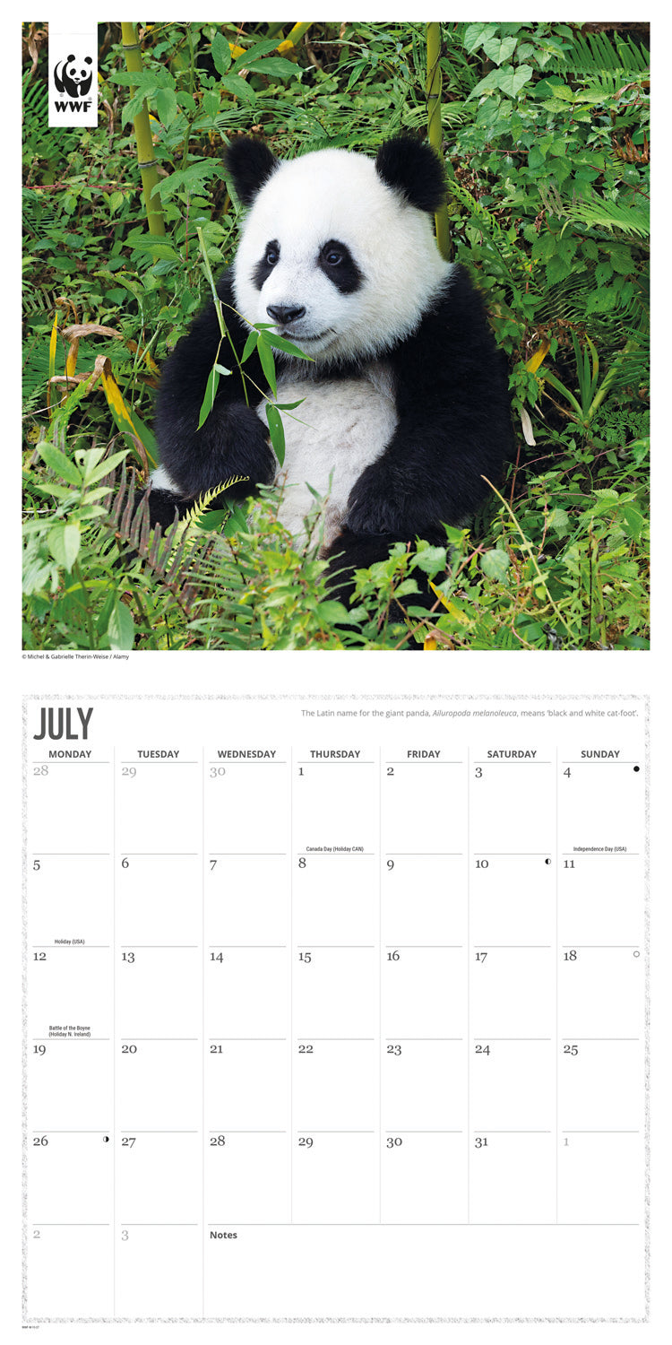 Pandas WWF Wall Calendar 2027