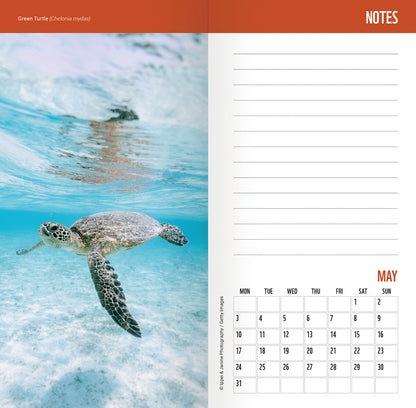 Wild & Free WWF Slim Diary 2027