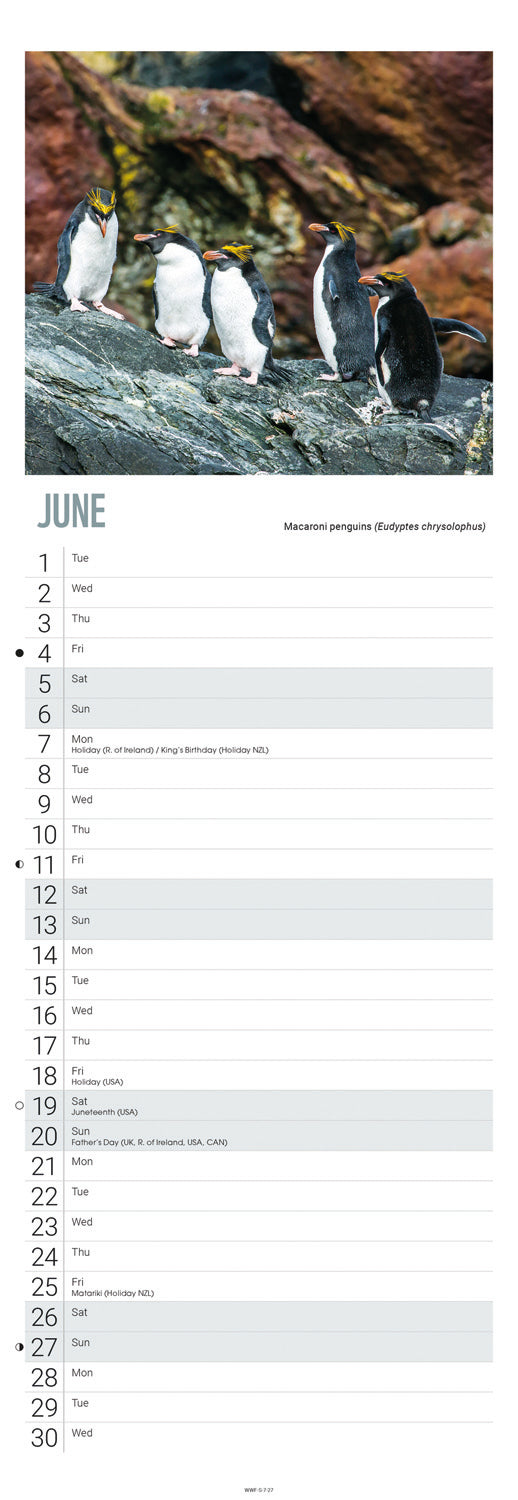 Penguins WWF Slim Calendar 2027