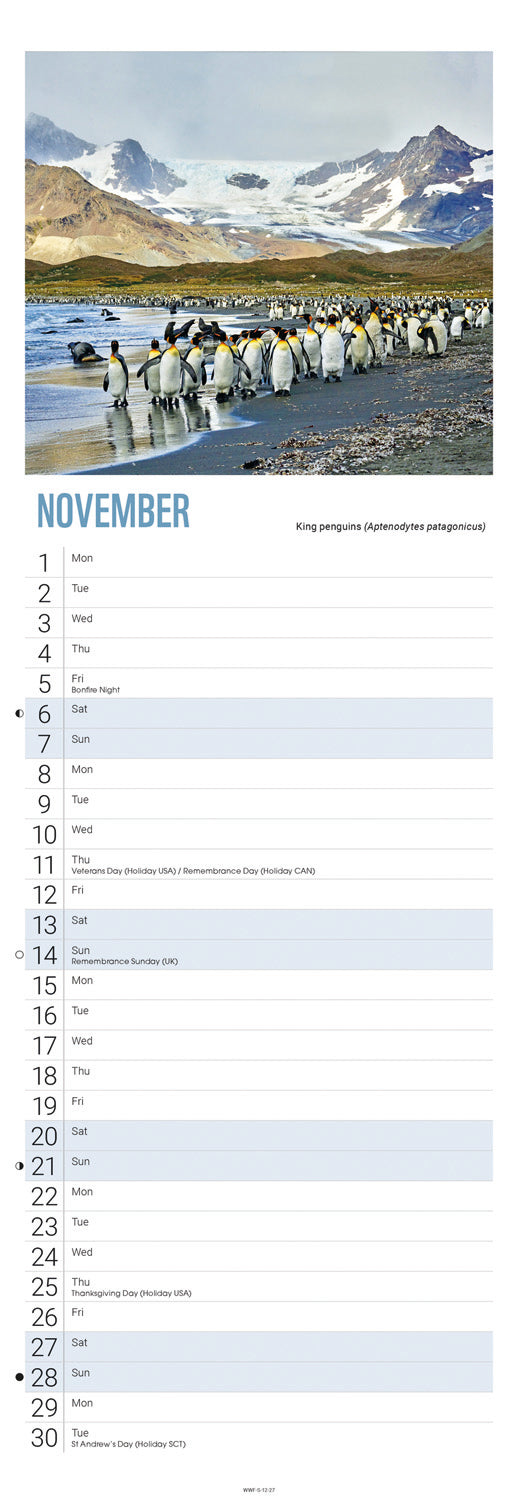 Penguins WWF Slim Calendar 2027