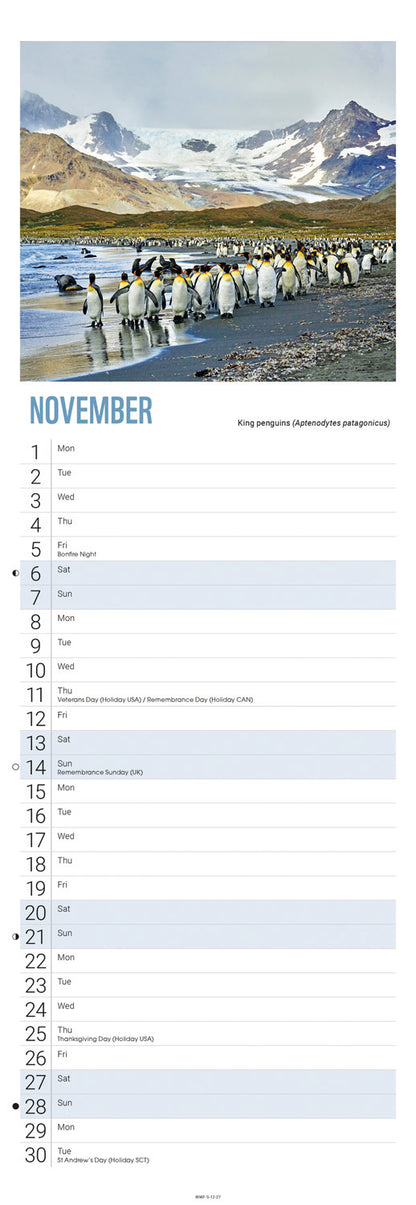 Penguins WWF Slim Calendar 2027