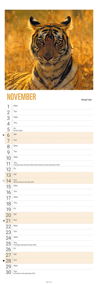 Tigers WWF Slim Calendar 2027